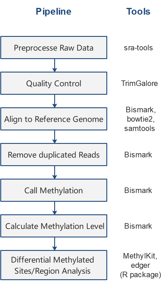 workflow.png