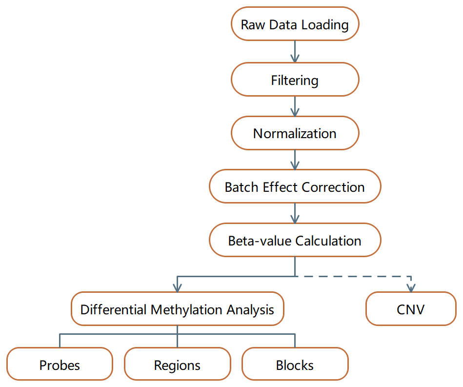 workflow.png