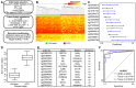 case_results.gif#322px #208px