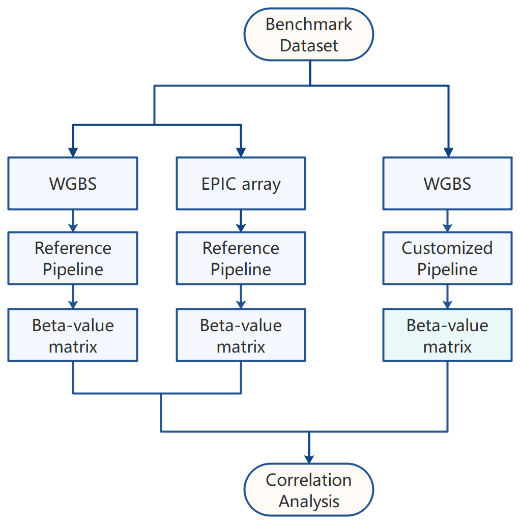 workflow.png