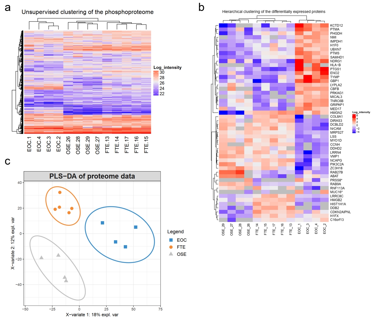 Proteomics.png